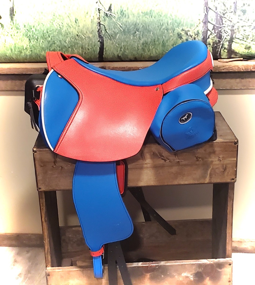 saddle
